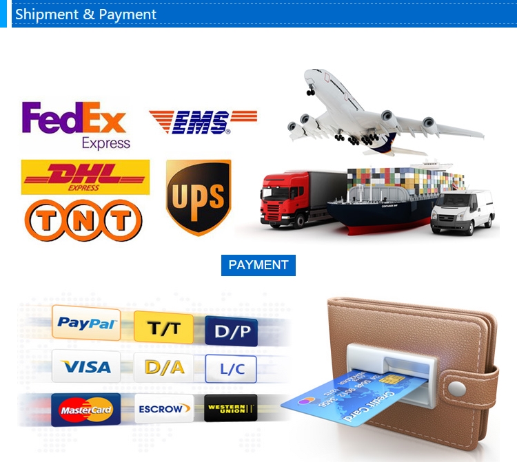 Shipping and Payment