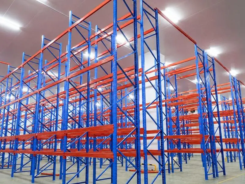 Cold storage radio shuttle and drive-in racking for frozen logistics