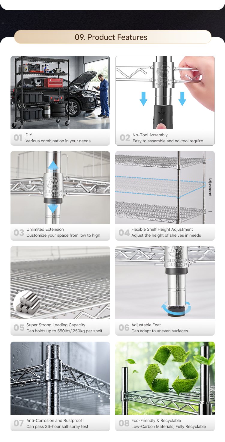 Comprehensive Product Showcase