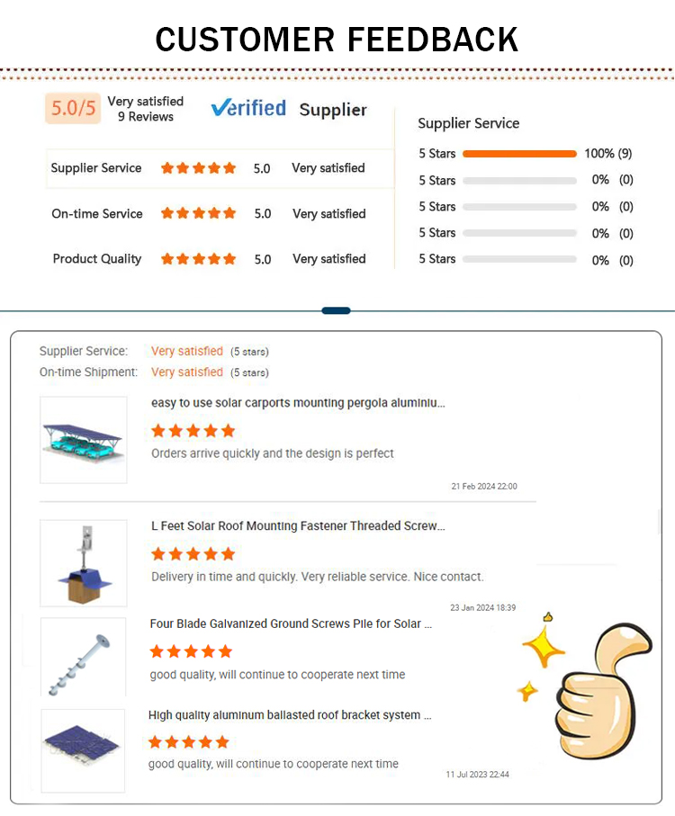 Customer Reviews and Feedback