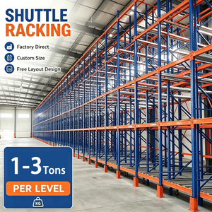 Custom Radio Shuttle Racking System Powder Coated Automated Warehouse Storage Rack For Cold Chain Logistics