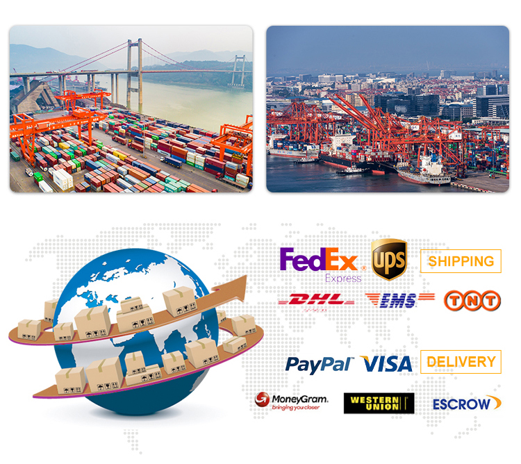 Export Packaging and Secure Shipping Specifications