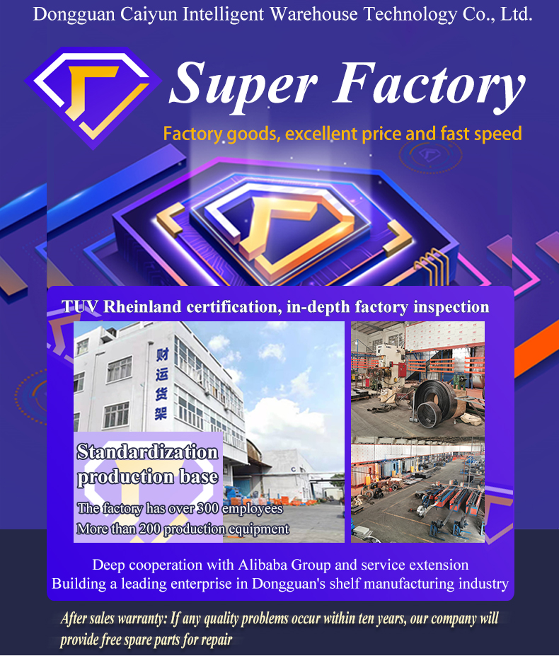 Dongguan Caiyun Intelligent Storage Facility