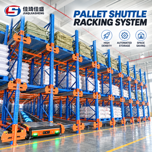 Customized Warehouse Layout Design OEM ODM Low Maintenance Radio Intelligent Shuttle Rack for Frozen Goods Storage