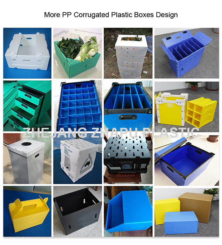 Product View 1