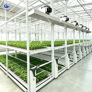 Multi-Layer Vertical Farm Grow Rack, Mobile Ebb and Flow Rolling Bench System for Indoor Hydroponic Greenhouse